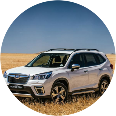 Ремонт Ремонт Рулевой (рулевых Реек) Subaru Forester